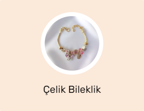 Çelik Bileklik