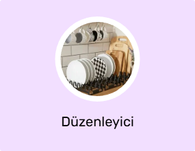 Düzenleyici