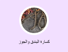 كسارة البندق والجوز