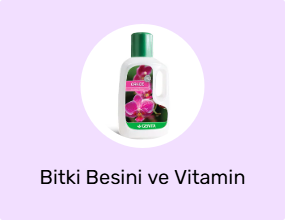 Bitki Besini ve Vitamin