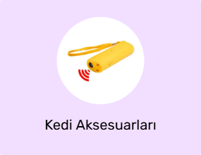 Kedi Aksesuarları