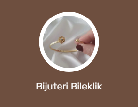 Bijuteri Bileklik