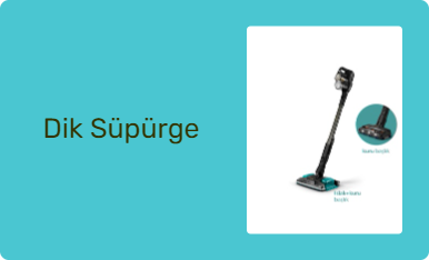 Dik Süpürge