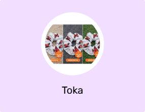 Toka