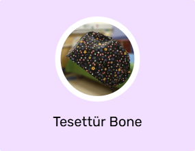 Tesettür Bone