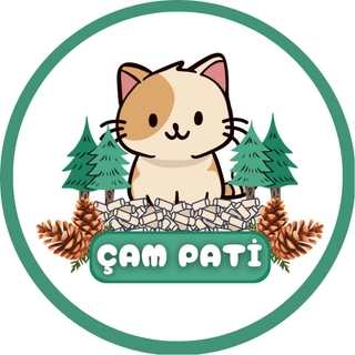 Çam Pati