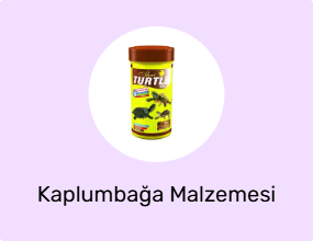 Kaplumbağa Malzemesi