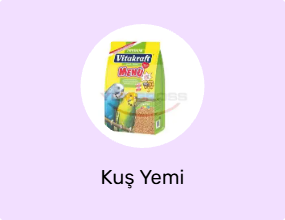 Kuş Yemi