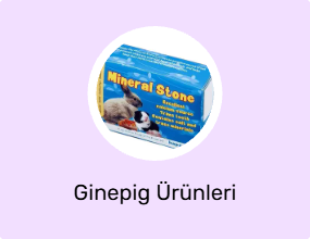 Ginepig Ürünleri