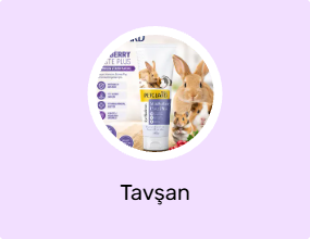 Tavşan