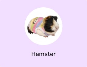 Hamster