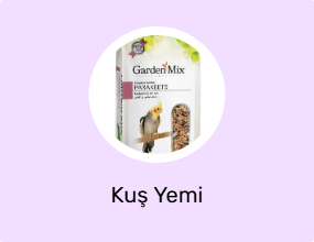 Kuş Yemi
