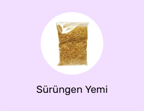 Sürüngen Yemi