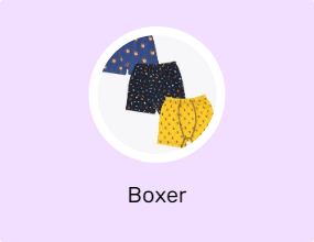 Boxer