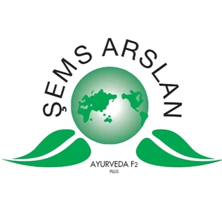 ŞEMS ARSLAN