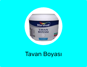 Tavan Boyası