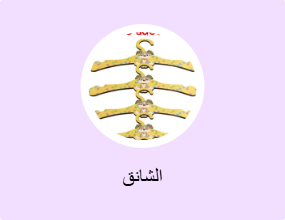 الشانق