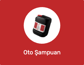 Oto Şampuan