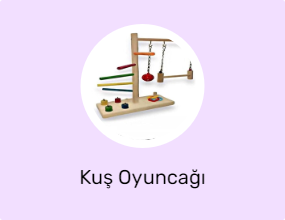 Kuş Oyuncağı