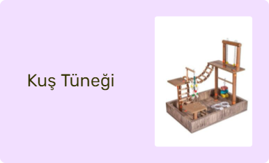 Kuş Tüneği