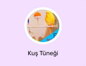 Kuş Tüneği