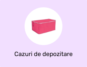 Cazuri de depozitare