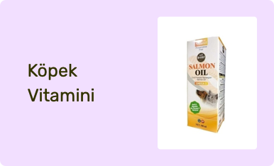 Köpek Vitamini