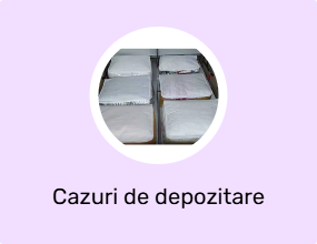 Cazuri de depozitare