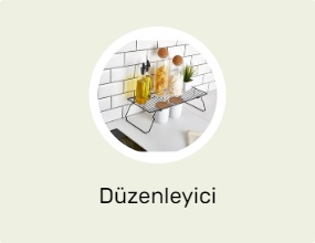 Düzenleyici