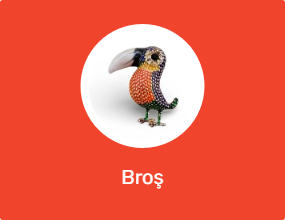 Broş