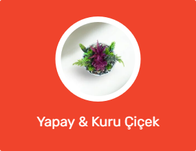 Yapay & Kuru Çiçek