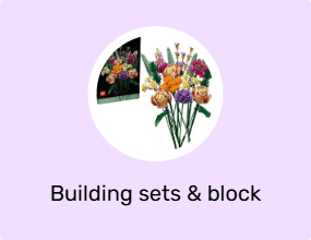 Building sets & block toys
