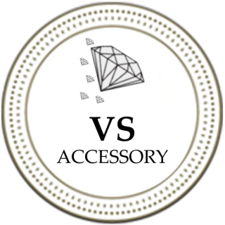 VS ACCESSORY logo