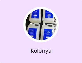 Kolonya