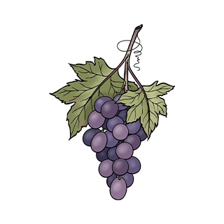 Salkım Ticaret logo