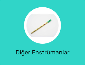 Diğer Enstrümanlar