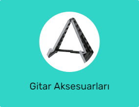 Gitar Aksesuarları