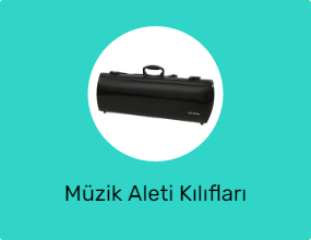 Müzik Aleti Kılıfları