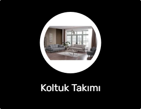 Koltuk Takımı
