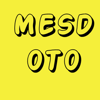MESD OTOMOTİV ELEKTRONİK