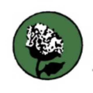 Altınkoza logo
