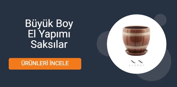 Banner Başlığı