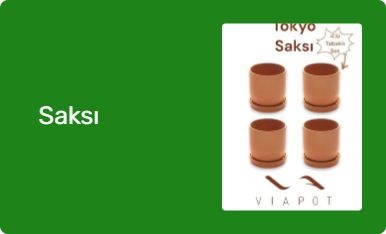 Saksı