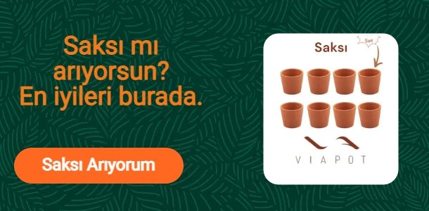 Banner Başlığı