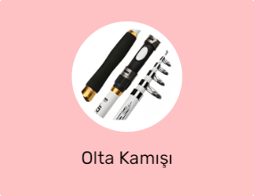 Olta Kamışı