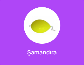 Şamandıra