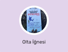 Olta İğnesi