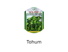 Tohum