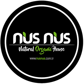 nusnus logo