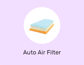 Auto Air Filter